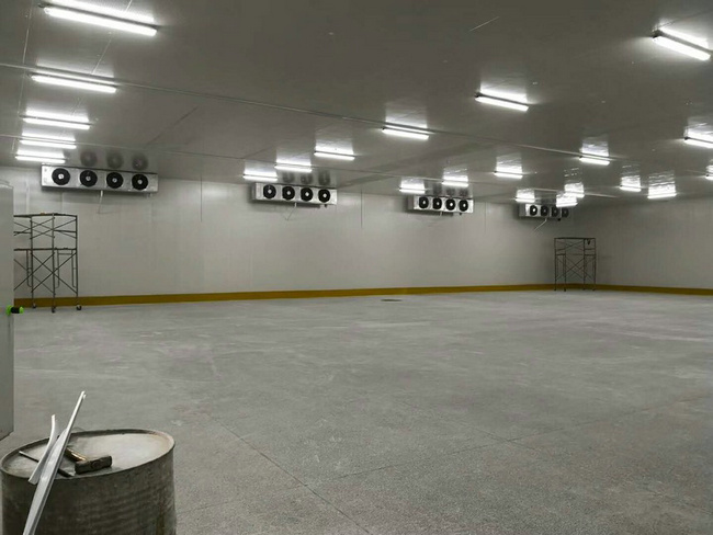 建造100平方冷凍庫需要多少錢？