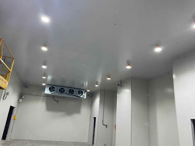 建個存放10噸貨物的冷庫大概需要多少錢？